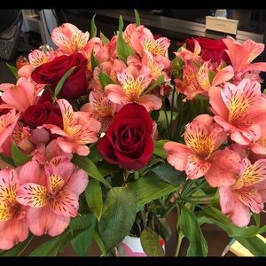 Meet your Posher, Lindsey